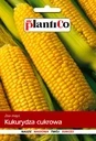 PlantiCo-Kukurydza golden bantam 10g.jpg