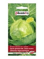 kapusta-glow-biala-ditmarska-najwczesniejsza-2g plantico.jpg