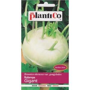 kalarepa gigant 2g plantico.jpg