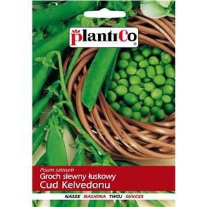 Groch konserwowy  Cud Kelvedonu NOE - wczesny 40g PlantiCo