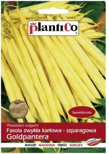Fasola zwykła karłowa - szparagowa żółtostrąkowa Goldpantera - żółta,odpor.na antraktozę,plenna,wcz. 40g PlantiCo