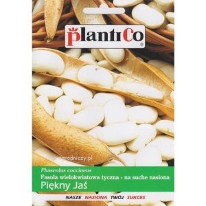 Fasola wielokwiatowa - na suche nasiona Piękny Jaś - tyczna, późna, MTN/1000-1500g 40g PlantiCo