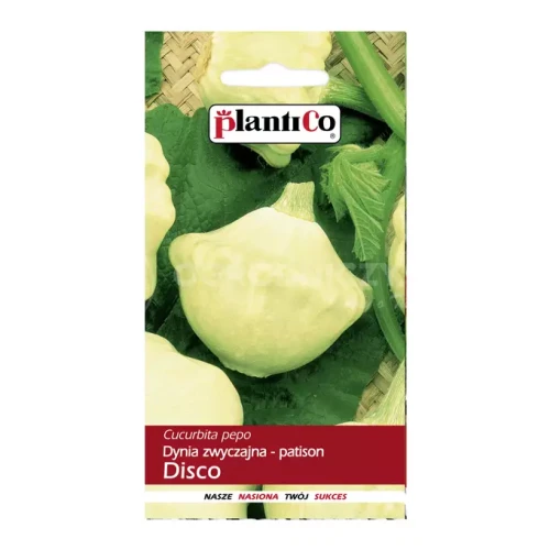 dynia disco 2g plantico.jpg