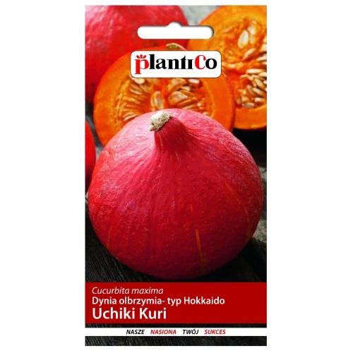 plantico-dynia-uchiki-kuri 3g plantico.jpg