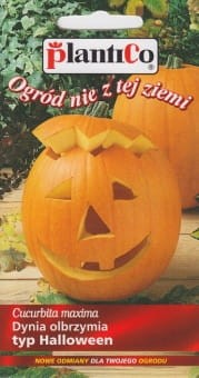 DYNIA_OLBRZYMIA_BIG_MAX__typ_HALLOWEEN__2Gs plantico.jpg