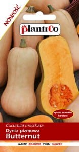 Dynia piżmowa Butternut - kształt gruszki, wys. zawartość karotenu 2g  PlantiCo