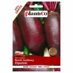 Burak ćwikłowy Opolski 10+2g  PlantiCo