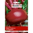 Burak-cwiklowy-D-Egypte-10g-sredniej-wielkosci plantico.jpg