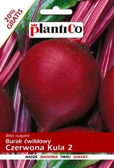 BURAK_CZERWONA_KULA_12Gs plantico.jpg