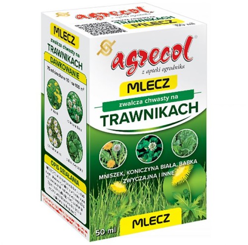 Mlecz.jpg