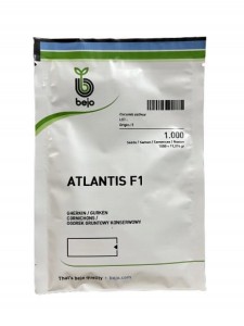 OGÓREK GRUNTOWY ATLANTIS F1 1000 nasion