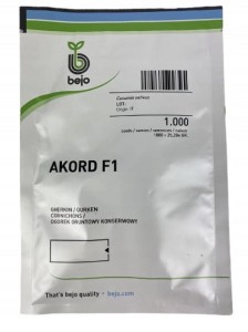 OGÓREK GRUNTOWY AKORD F1 1000 nasion