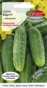 Ogórek gruntowy konserwowy Edyp F1 Taśma 5m/40 nasion Torseed