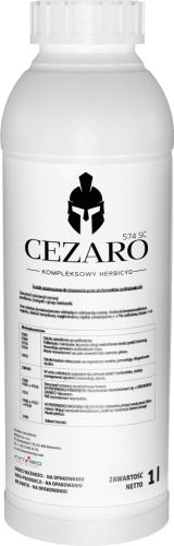 Cezaro-160x500.png