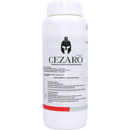 Cezaro-574-SC-Innvigo.jpg