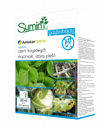 ffffffff.png