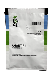 OGÓREK GRUNTOWY AMANT F1 250 nasion