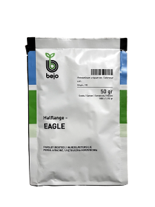 PIETRUSZKA KORZENIOWA HALFLANGE EAGLE 50g Holenderskie nasiona Bejo