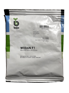 BURAK ĆWIKŁOWY WODAN F1 10 000 nasion