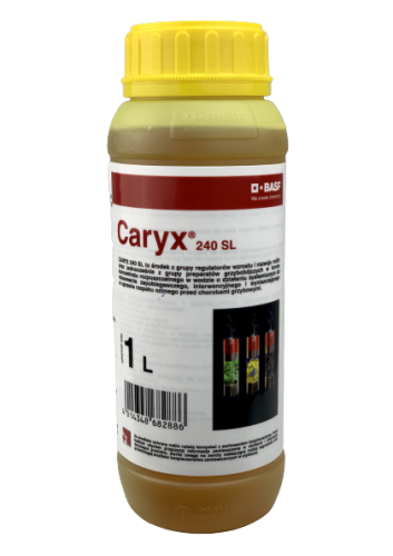 CARYX_240_SL_1L.png