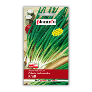 Cebula Siedmiolatka Kroll  2 g PlantiCo