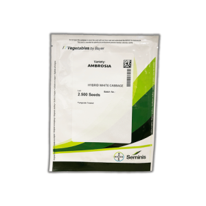 Kapusta Ambrosia 2500 nasion Seminis
