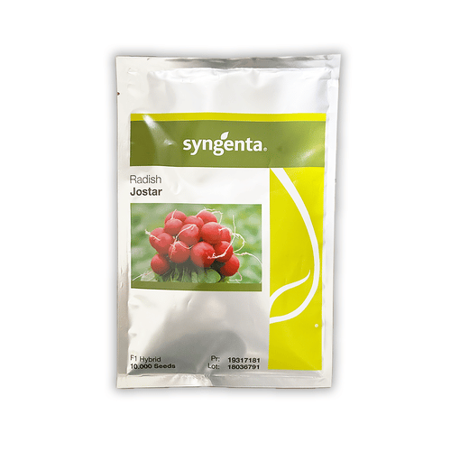 Rzodkiewka Jostar 2,75 - 3,00 10000 nasion Syngenta.png