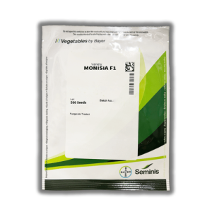 Ogórek Monisia F1 500 nasion Seminis