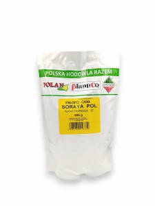 Dynia zwyczajna - cukinia Soraya 500g PlantiCo