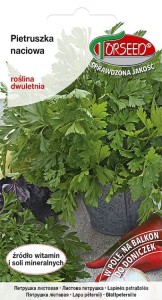 Pietruszka naciowa Gigante D'Italia 1g Torseed nasiona