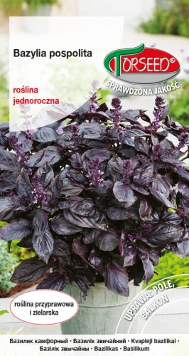 Bazylia czerwona TORS 14279456PA.jpg