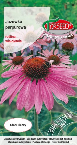 Jeżówka purpurowa TORS 97 05 04_900.0986.jpg